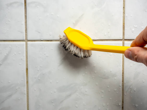 Best Mold Testing  in Comfort, TX