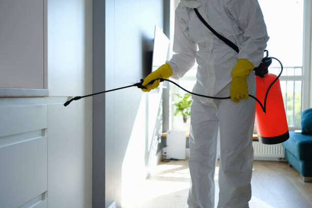 Reliable Comfort, TX Mold Removal Solutions