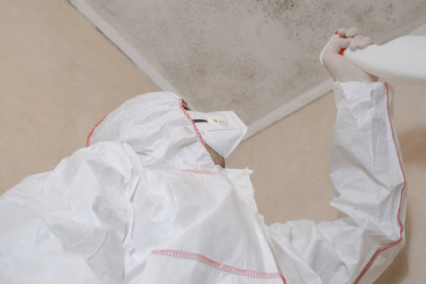 Best Emergency Mold Removal  in Comfort, TX